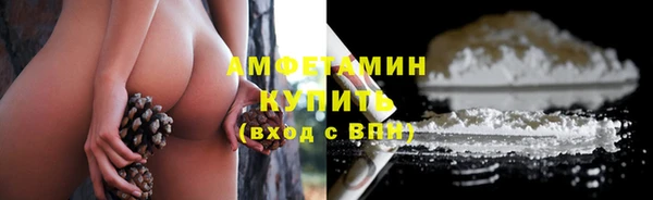 шишки Абинск